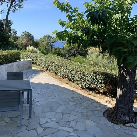 T2 Climatisee Avec Jardin, Proche Plage, Parking Et Animaux Acceptes - Fr-1-768-65 Villa Les Issambres